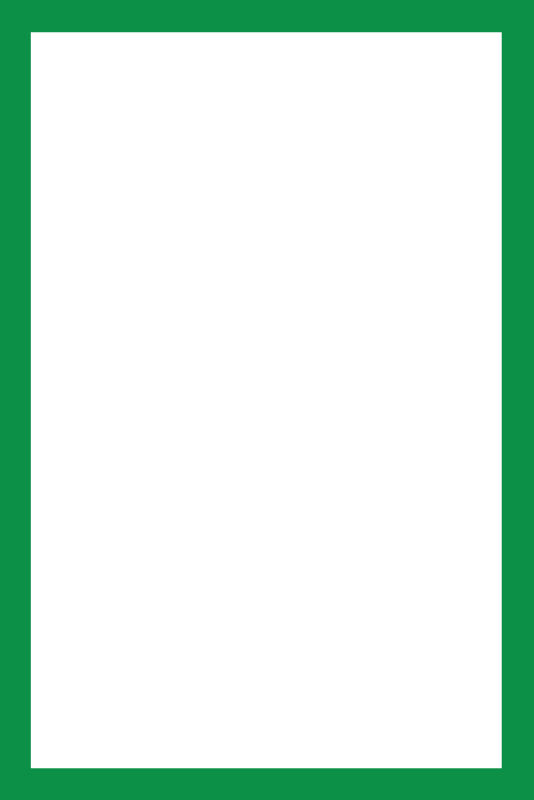 viền mirabi-01